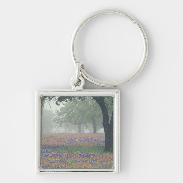 USA, Texas. Texas-Pinsel und Bluebonnets Schlüsselanhänger (Vorne)