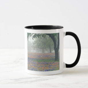 USA, Texas. Texas-Pinsel und Bluebonnets Tasse