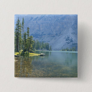 USA, Utah, Ashley National Forest, High Uintas Button