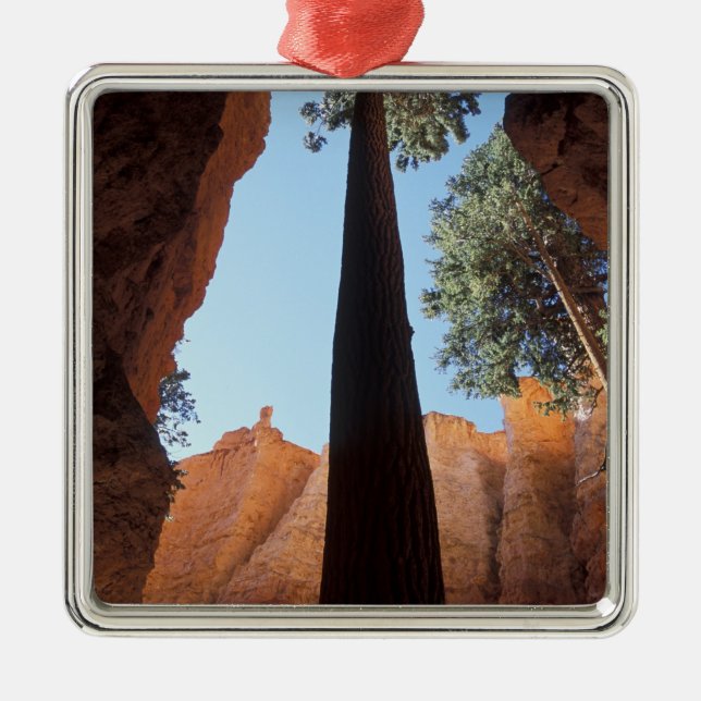 USA, Utah, Bryce Canyon National Park.Groß Ornament Aus Metall (Vorne)