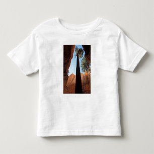 USA, Utah, Bryce Canyon National Park. Hoch Kleinkind T-shirt