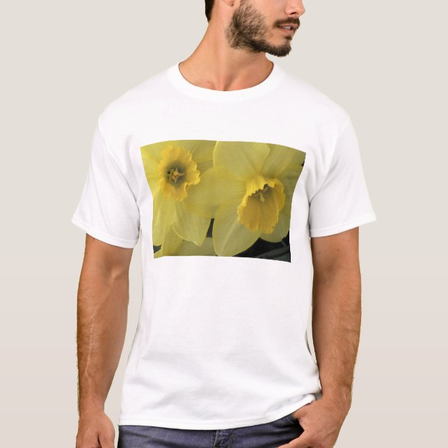 USA, Utah, Cache Valley Daffodils T-Shirt (Vorderseite)