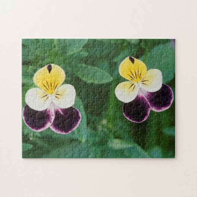 USA, Utah, Cache Valley, Johnny Jump Up Puzzle (Horizontal)