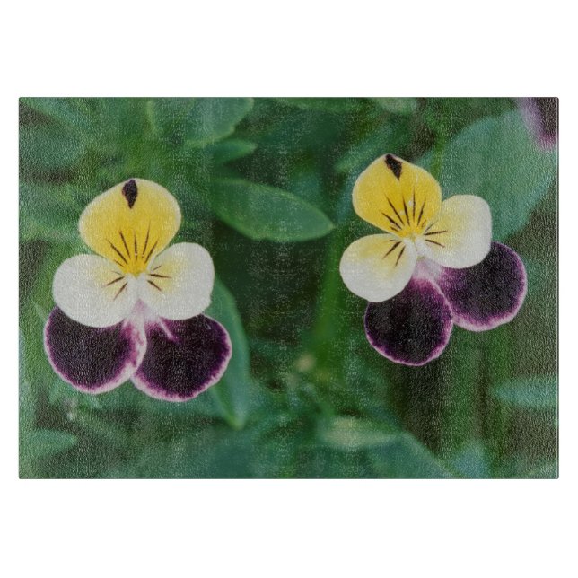 USA, Utah, Cache Valley, Johnny Jump Up Schneidebrett (Vorderseite)