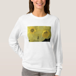 USA, Utah, Cache Valley Narzissen T-Shirt