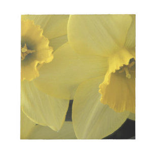 USA, Utah, Cache Valley Notizblock