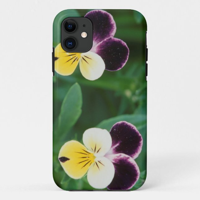 USA, Utah, Cache Valley, Stiefmütterchen Case-Mate iPhone Hülle (Rückseite)
