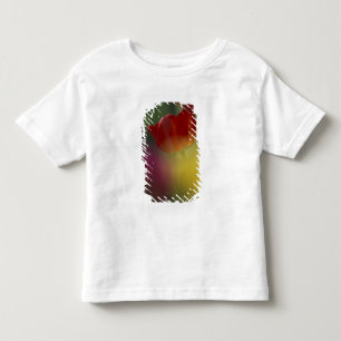 USA, Utah, Cache Valley Tulpen in einem Garten Kleinkind T-shirt