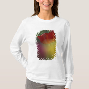USA, Utah, Cache Valley Tulpen in einem Garten T-Shirt
