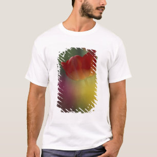 USA, Utah, Cache Valley Tulpen in einem Garten T-Shirt