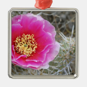 USA, Utah, Canyonlands NP, Feigenkaktus Ornament Aus Metall