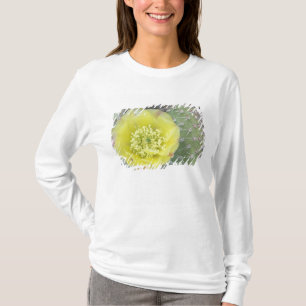 USA, Utah, Canyonlands, NP, Feigenkaktus T-Shirt