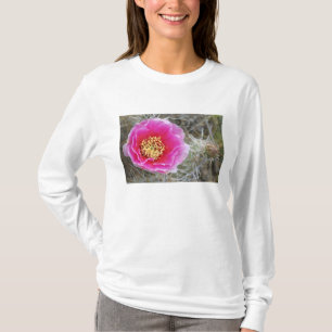 USA, Utah, Canyonlands NP, Wüste Prickly Pear T-Shirt