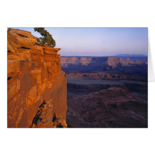 USA, Utah, Dead Horse Point SP. Spätes Licht färbt