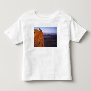 USA, Utah, Dead Horse Point SP. Spätes Licht färbt Kleinkind T-shirt