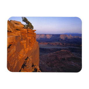 USA, Utah, Dead Horse Point SP. Spätes Licht färbt Magnet
