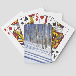 USA, Utah, Dixie National Forest, Aspen Grove Spielkarten