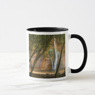 USA, Utah, Escalante Wilderness. Eine Ansicht von Tasse