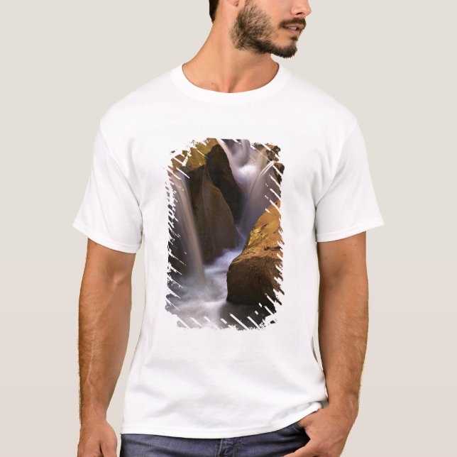 USA, Utah, Escalante Wilderness. Wasserfall in 2 T-Shirt (Vorderseite)