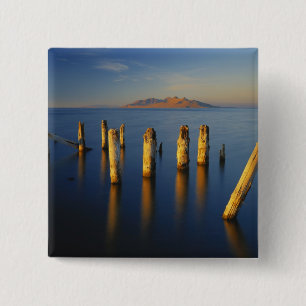USA, Utah, Great Basin, Saltair, Großer Salzsee Button