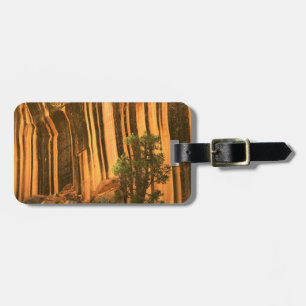 USA, Utah, Hauptstadt Reef National Park Gepäckanhänger