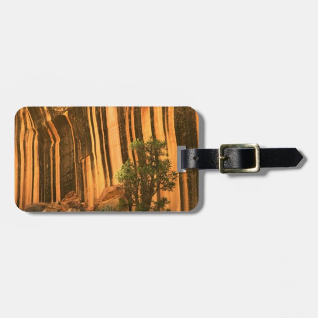 USA, Utah, Hauptstadt Reef National Park Gepäckanhänger (Vorderseite horizontal)