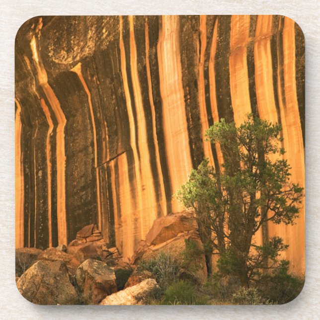 USA, Utah, Hauptstadt Reef National Park Untersetzer (Vorderseite)
