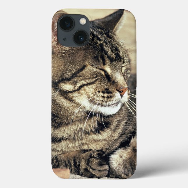 USA, Utah, Hauptstadt Reef NP. Schlaftabellatze Case-Mate iPhone Hülle (Rückseite)