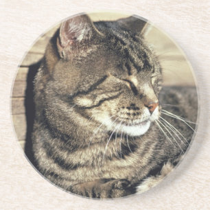 USA, Utah, Hauptstadt Reef NP. Schlaftabellatze Getränkeuntersetzer