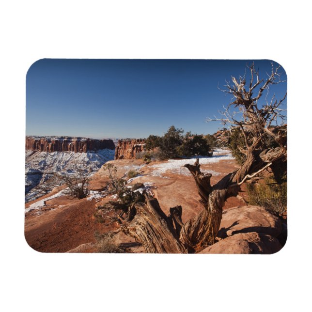 USA, Utah, Moab. Canyonlands-Nationalpark, Magnet (Horizontal)