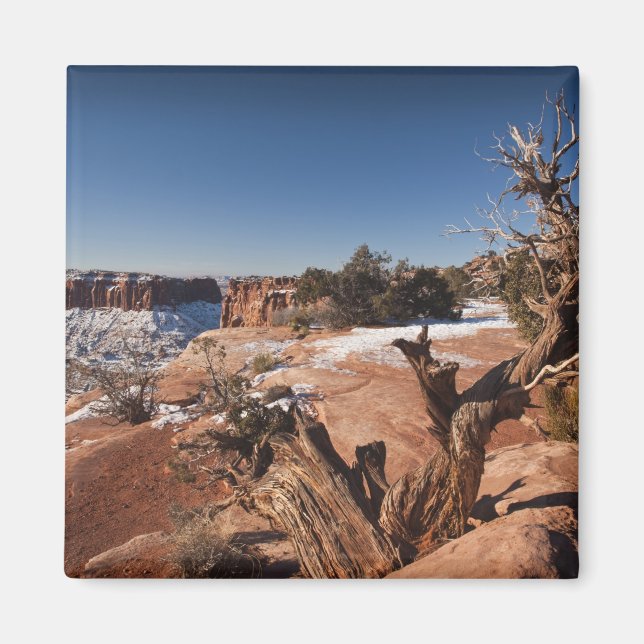 USA, Utah, Moab. Canyonlands-Nationalpark, Magnet (Vorne)