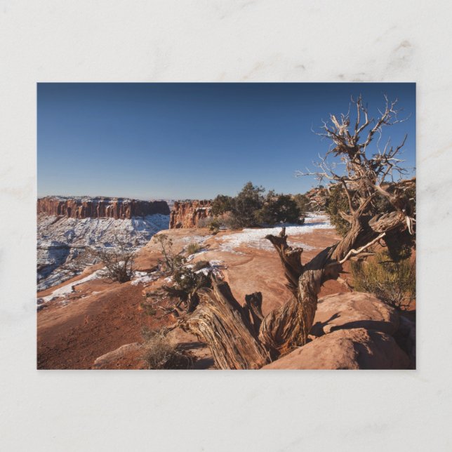 USA, Utah, Moab. Canyonlands-Nationalpark, Postkarte (Vorderseite)