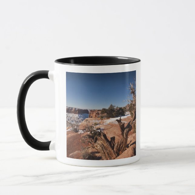 USA, Utah, Moab. Nationalpark Canyonlands, Tasse (Links)