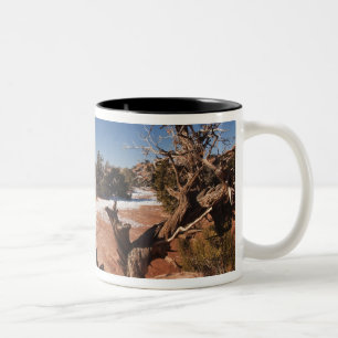 USA, Utah, Moab. Nationalpark Canyonlands, Zweifarbige Tasse
