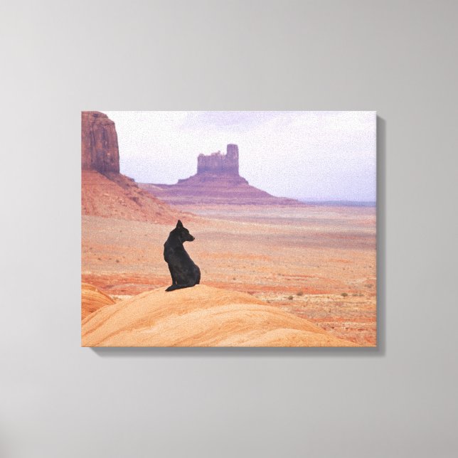 USA, Utah, Monument Valley, Hund sitzend auf Felse Leinwanddruck (Vorderseite)