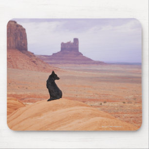 USA, Utah, Monument Valley, Hund sitzend auf Felse Mousepad