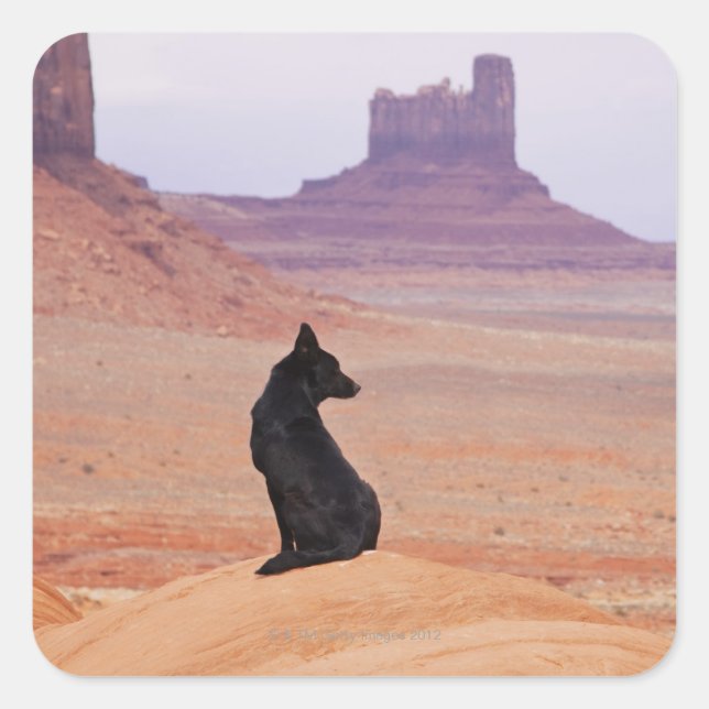 USA, Utah, Monument Valley, Hund sitzend auf Felse Quadratischer Aufkleber (Vorderseite)