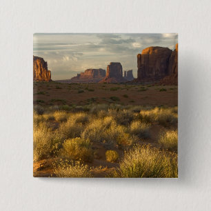 USA, Utah, Monument Valley National Park. Button