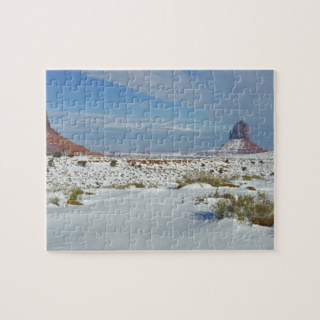 USA, Utah, Monument Valley. Sagebrush Puzzle (Horizontal)