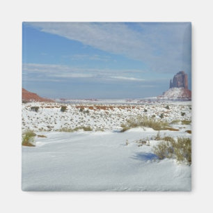 USA, Utah, Monument Valley. Sagebrush-Shows Magnet