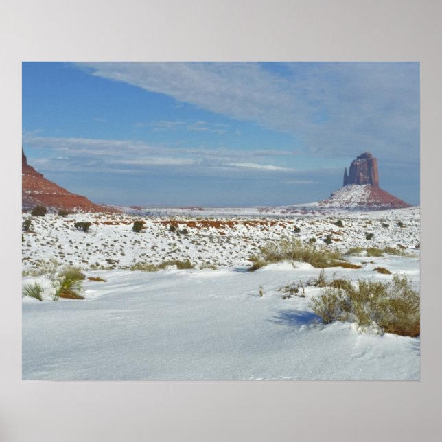 USA, Utah, Monument Valley. Sagebrush-Shows Poster (Vorne)