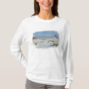 USA, Utah, Monument Valley. Sagebrush T-Shirt