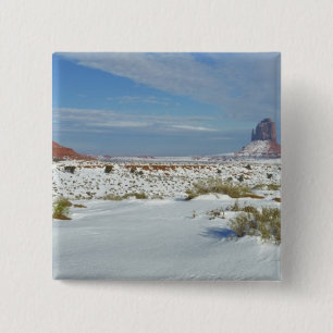 USA, Utah, Monument Valley. Salbei zeigt sich Button