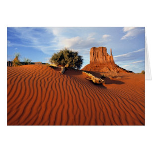 USA, Utah, Monument Valley. Wind erstellt