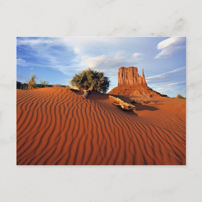 USA, Utah, Monument Valley. Wind erstellt Postkarte (Vorderseite)