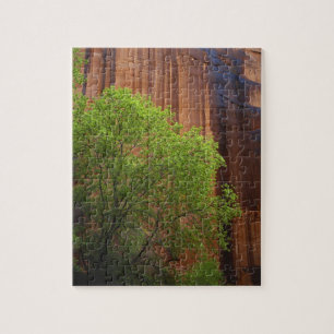 USA, Utah, Paria Canyon- Vermillion Cliffs Puzzle