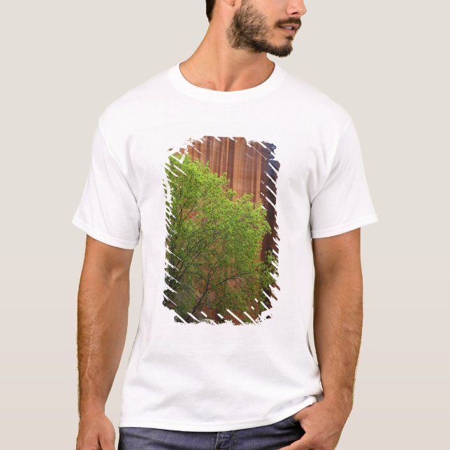 USA, Utah, Paria Canyon- Vermillion Cliffs T-Shirt (Vorderseite)