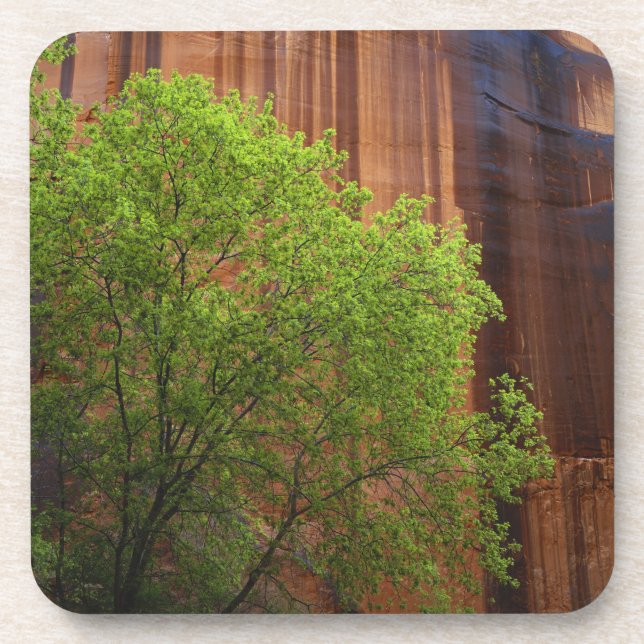 USA, Utah, Paria Canyon- Vermillion Cliffs Untersetzer (Vorderseite)