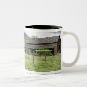 USA, Utah, Pferde auf Ranch Zweifarbige Tasse