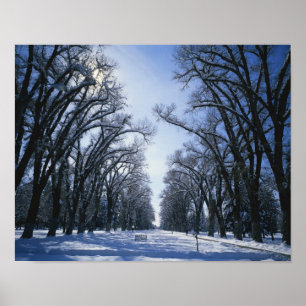 USA, Utah, Salt Lake City, Liberty Park, Poster